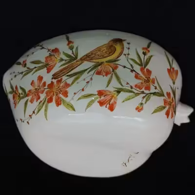 ست 7 تکه آجیل خوری سرامیکی هیوا طرح نارگل مدل شقایق کد 11311959