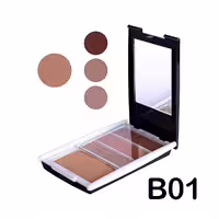 پالت رژگونه و هایلایتر پرامیننت شماره B01