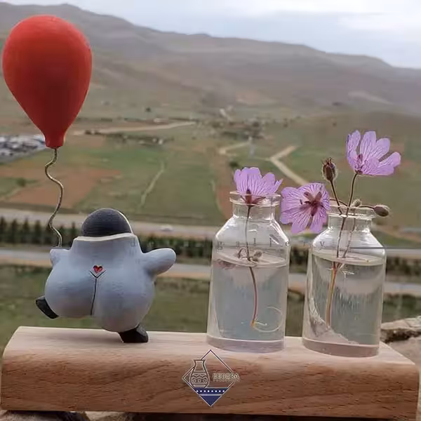گلدان پنگوئن تک بادکنک به دست