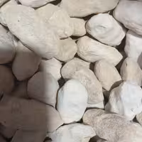 کشک گوسفندی درجه یک 