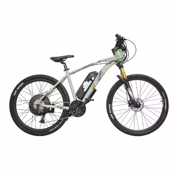 دوچرخه برقی مدل گاما پلاس سری Wstandard