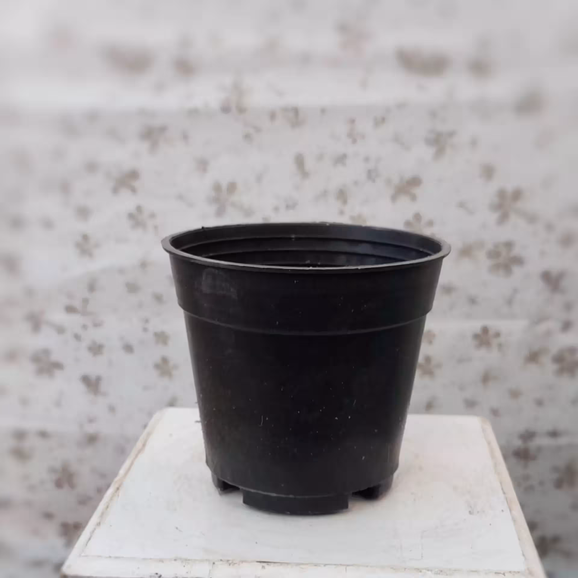 گلدان پلاستیکی