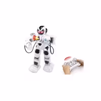 ربات کنترلی هوشمند مدل پلیس کد99888