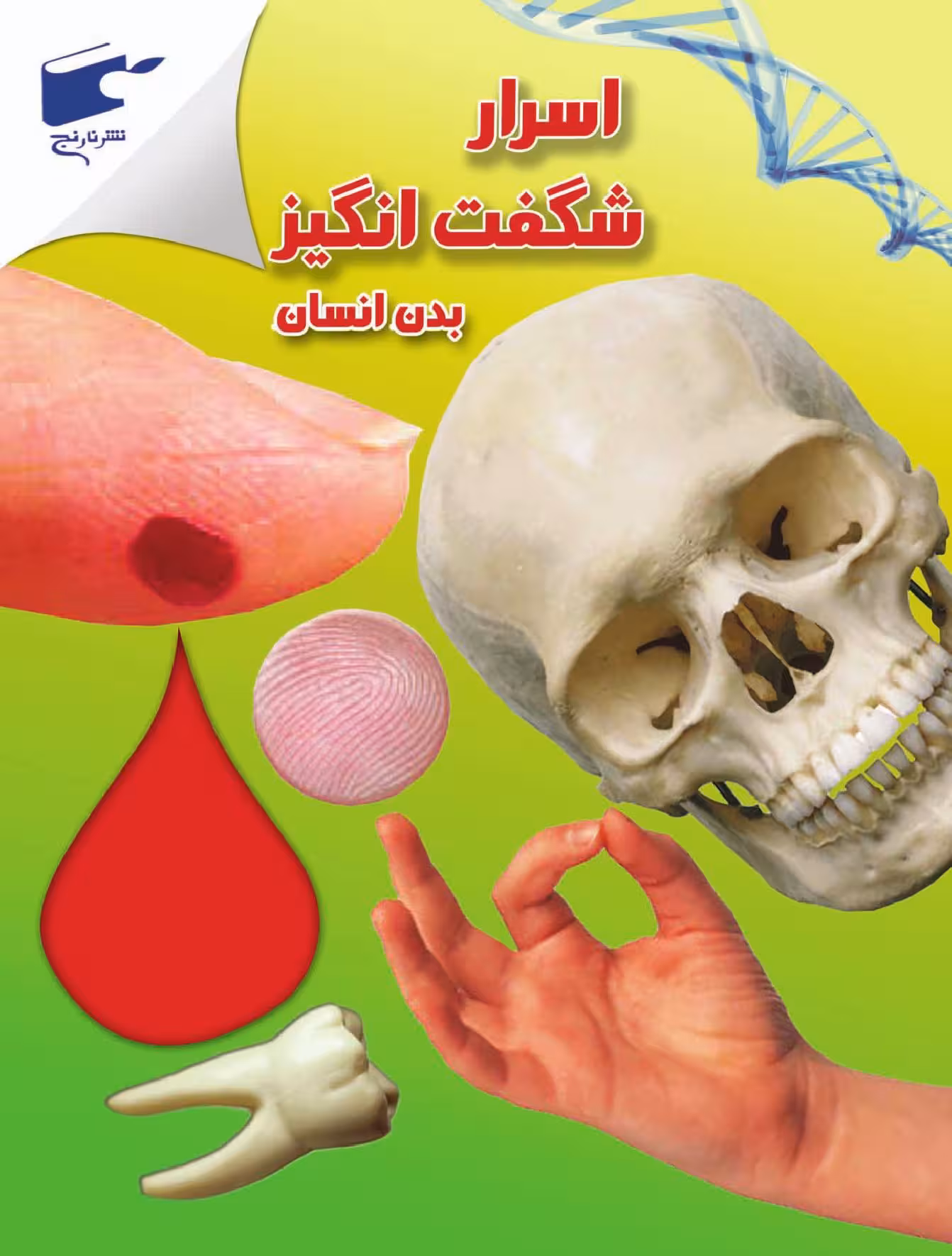 اسرار شگفت انگیز بدن انسان نشر نارنج