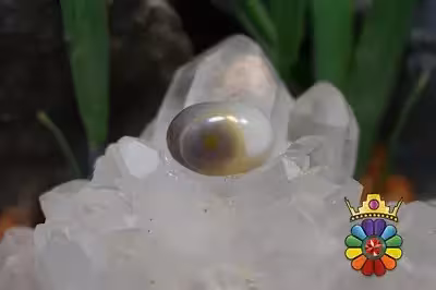 عقیق باباقوری