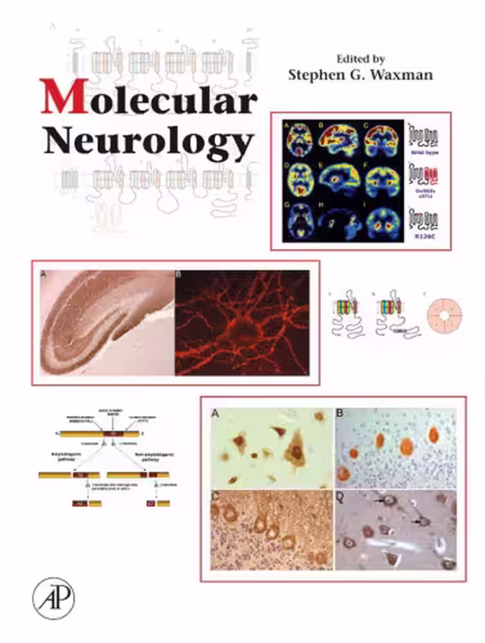 خرید و دانلود نسخه کامل کتاب Molecular Neurology