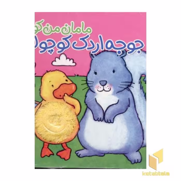 کتاب مامان من کو؟ جوجه اردک کوچولو اثر کیت ایتون نشر شهر قلم
