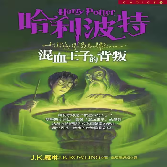 کتاب رمان هری پاتر و شاهزاده دو رگه Harry Potter and the Half-Blood Prince به زبان چینی
