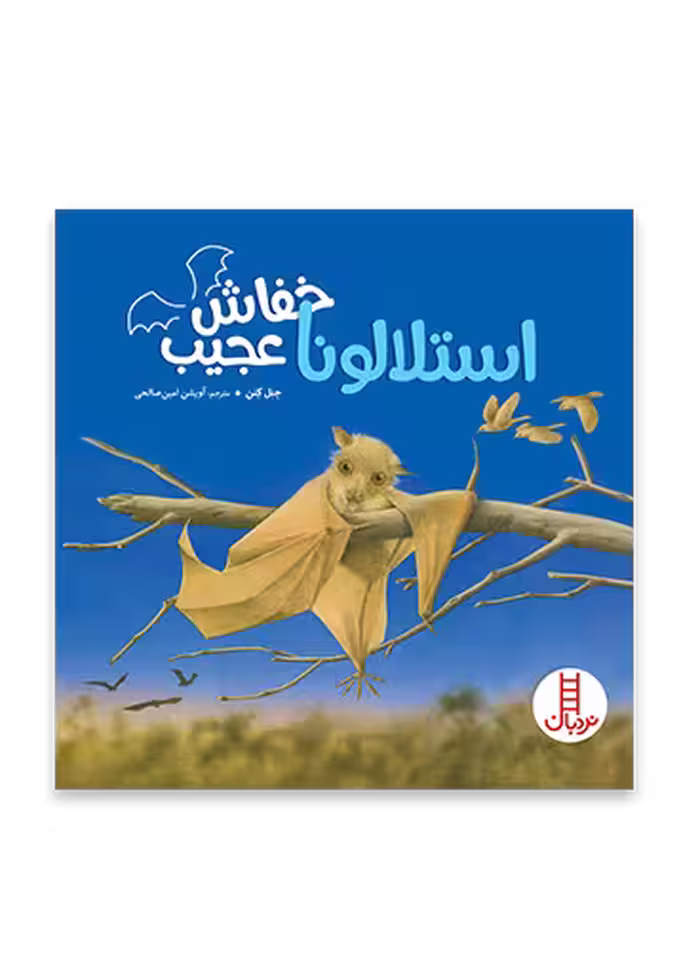 استلالونا خفاش عجیب