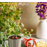 گز 18 درصد مغز پسته و بادام شاهکار (ارسال رایگان و درجه 1)
