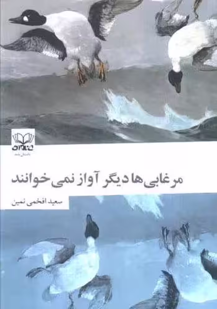 مرغابی ها دیگر آواز نمی خوانند