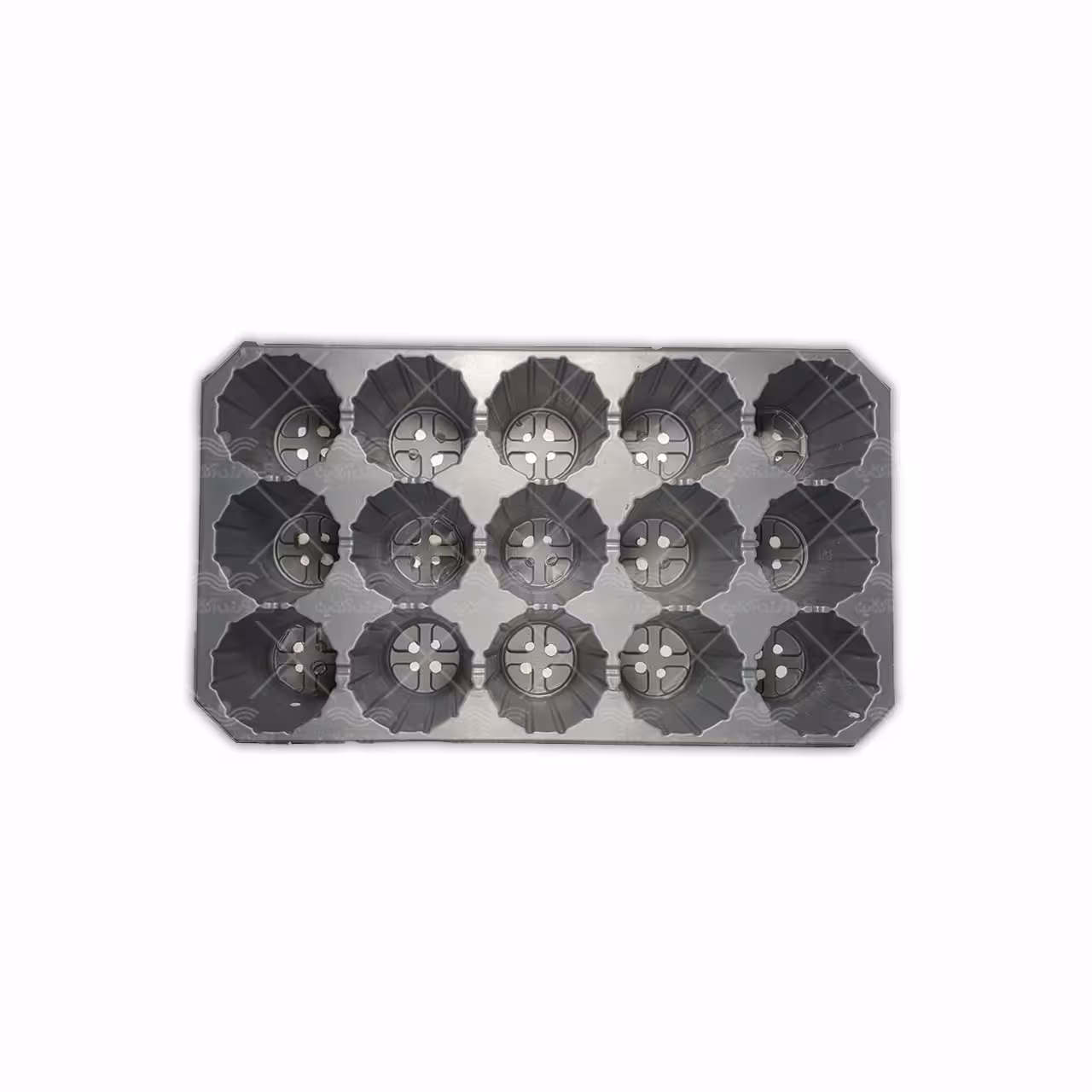 سینی نشا یکبار مصرف 15 حفره ویژه قلمه