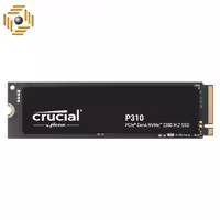 اس اس دی اینترنال کروشیال مدل P310 ظرفیت 1 ترابایت