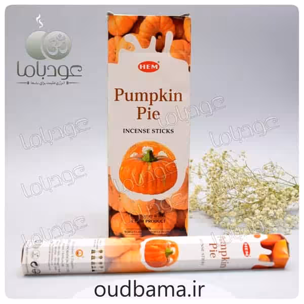 عود پای شیرینی کدو حلوایی پامکین پای PUMPKIN PIE ( هم HEM )
