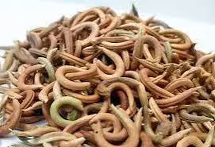 ناخنک اعلا( 100گرمی)