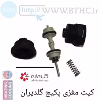 مغزی پکیج گلدیران کیت E 1448