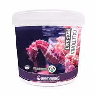 نمک مرجانی ریف سالت کالدونیا