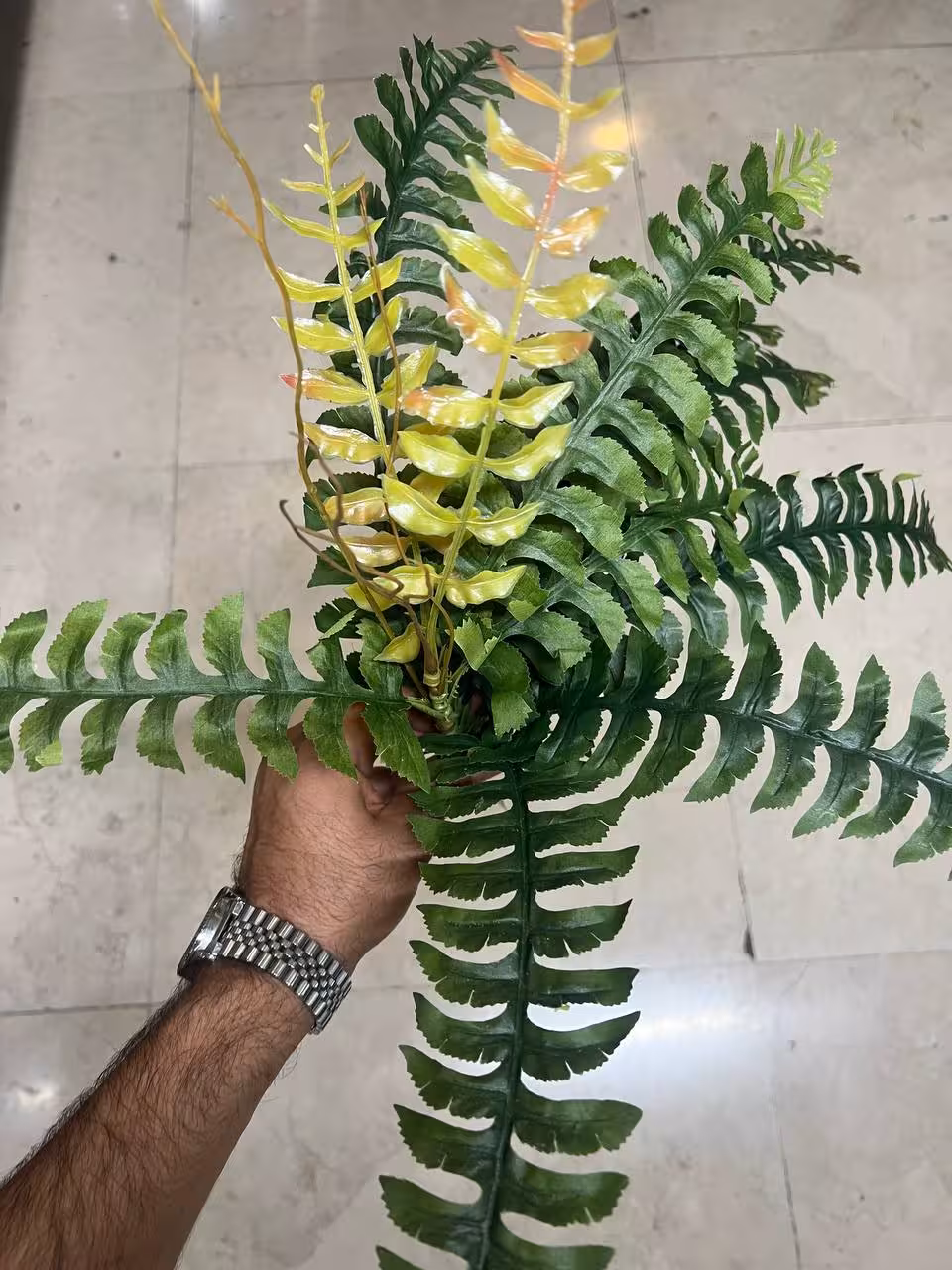 بوته سرخس مصنوعی