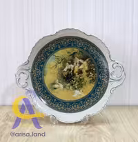 دیس زیرخاکی سبز FN