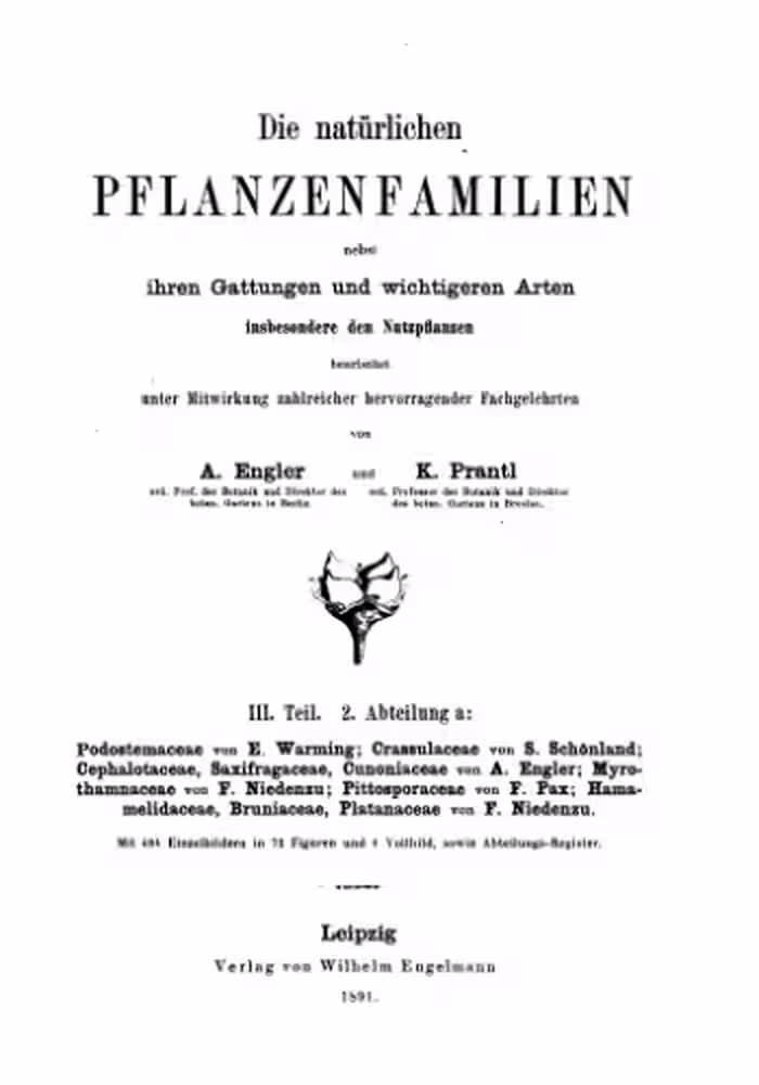خرید و دانلود نسخه کامل کتاب Die natürlichen PFLANZENFAMILIEN. Podostemaceae
