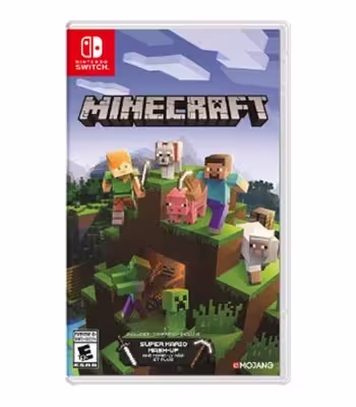 Minecraft nintendo switch