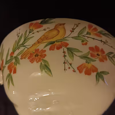 ست 7 تکه آجیل خوری سرامیکی هیوا طرح نارگل مدل رز کد 11312010