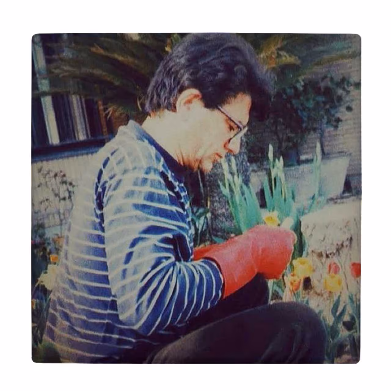  زیر لیوانی  طرح استاد شجریان کد    5930861_4807