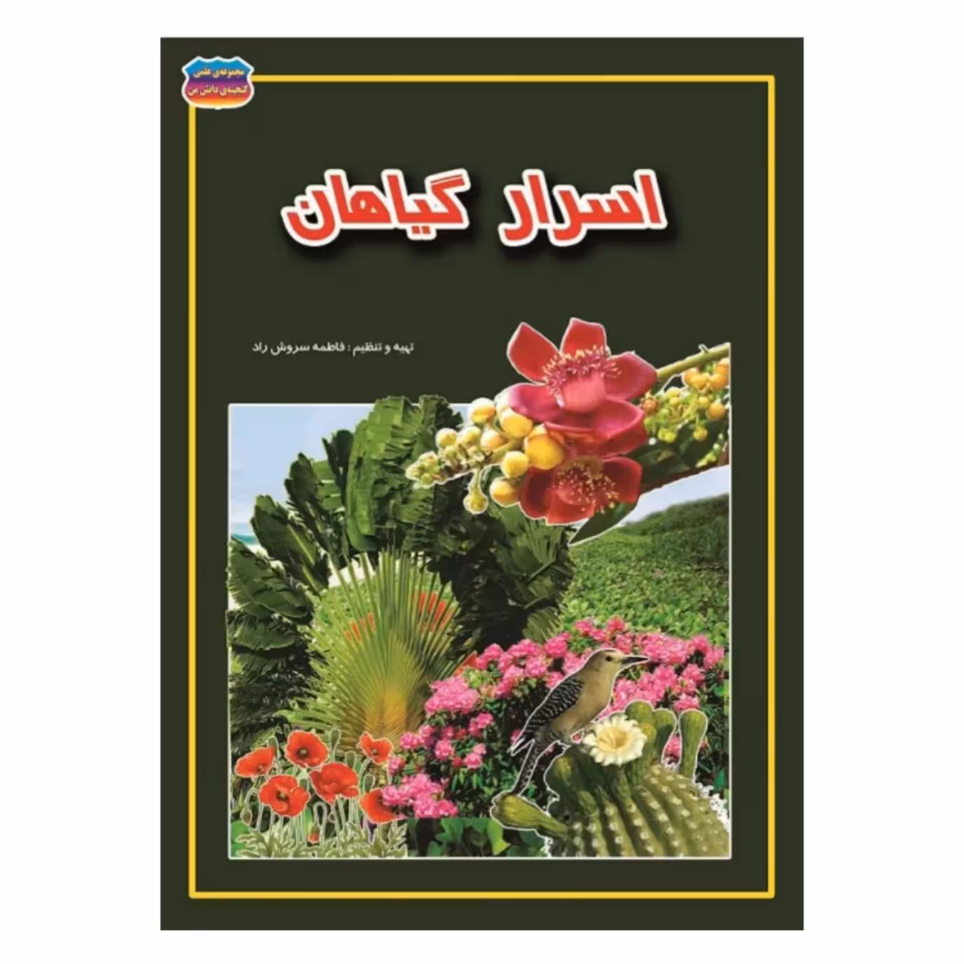 کتاب اسرار گیاهان نوشته فاطمه سروش راد انتشارات حباب