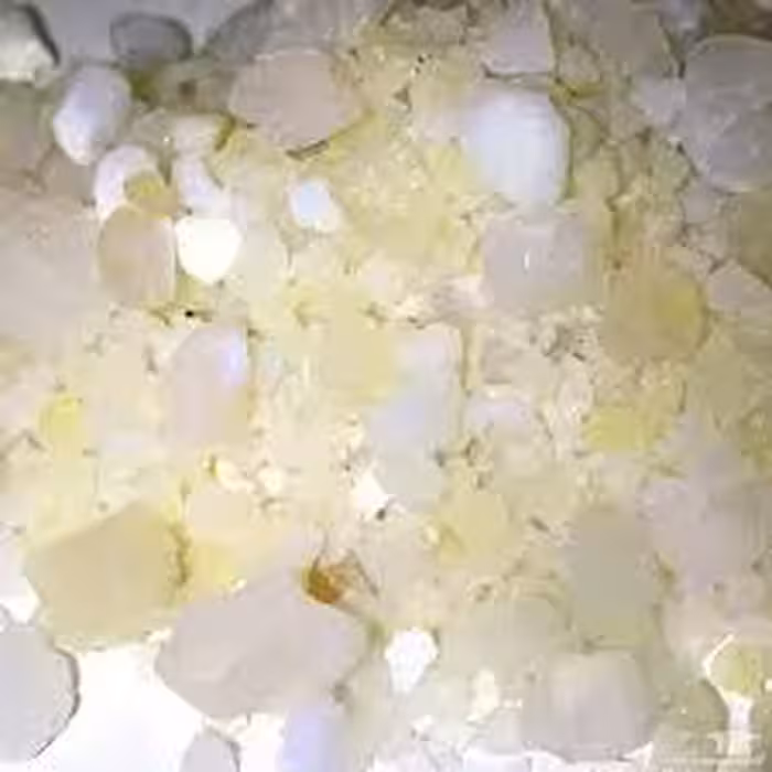 گیاه دارویی تباشیرهندی  ( 100گرمی )