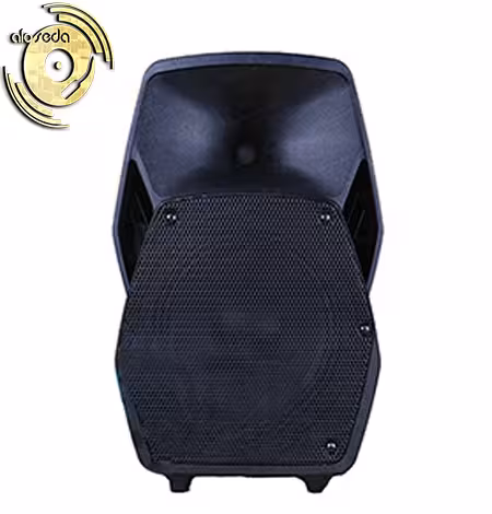 بلندگو اکتیو دی جی DJ TS500A