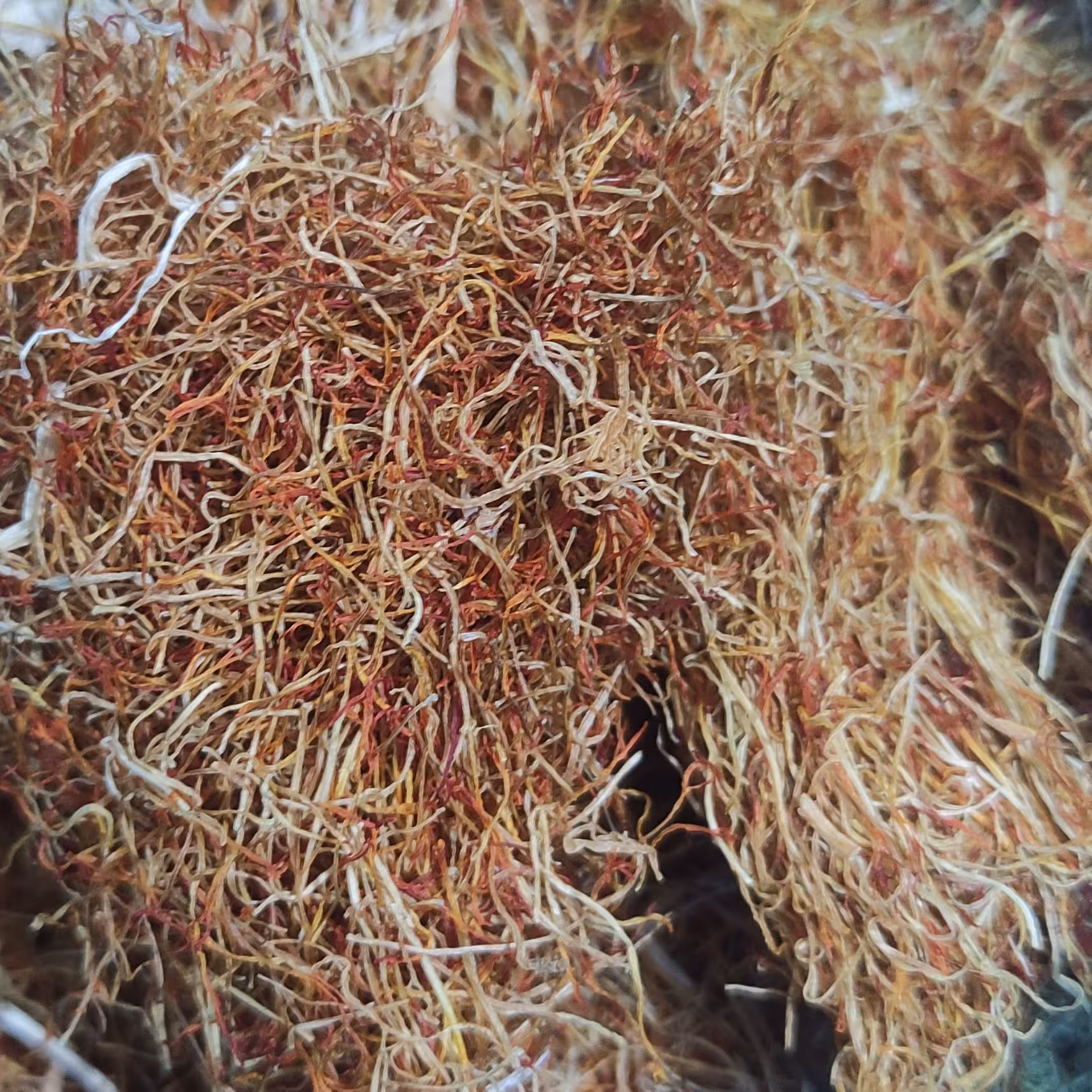 ریشه زعفران 2مثقالی