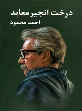 درخت انجیر معابد (دو جلدی) - اثر احمد محمود - انتشارات معین - چی بخونم