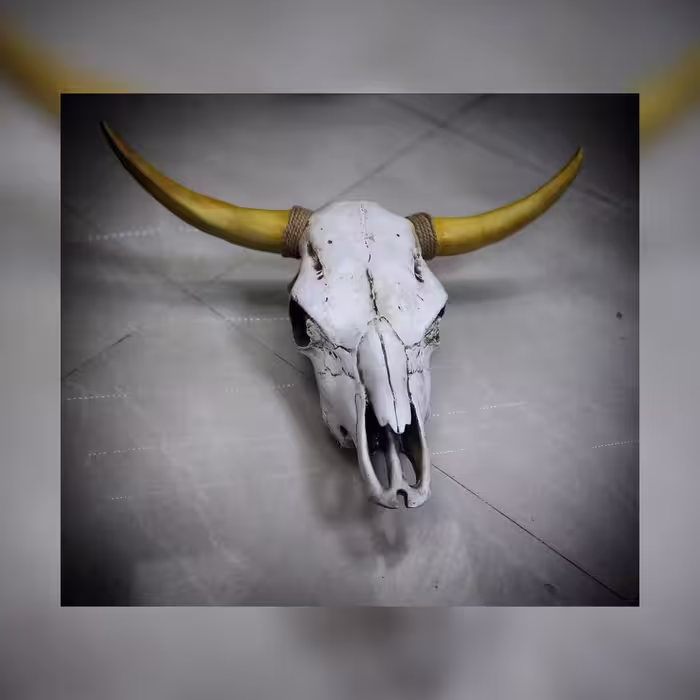 مجسمه دیوار کوب بزرگ جمجمه مدل جاناتان