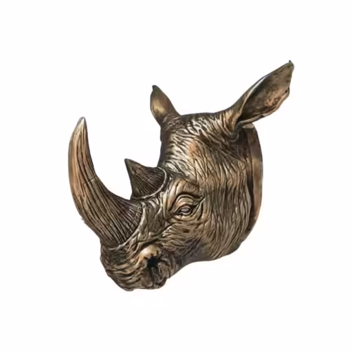 دیوارکوب کرگدن