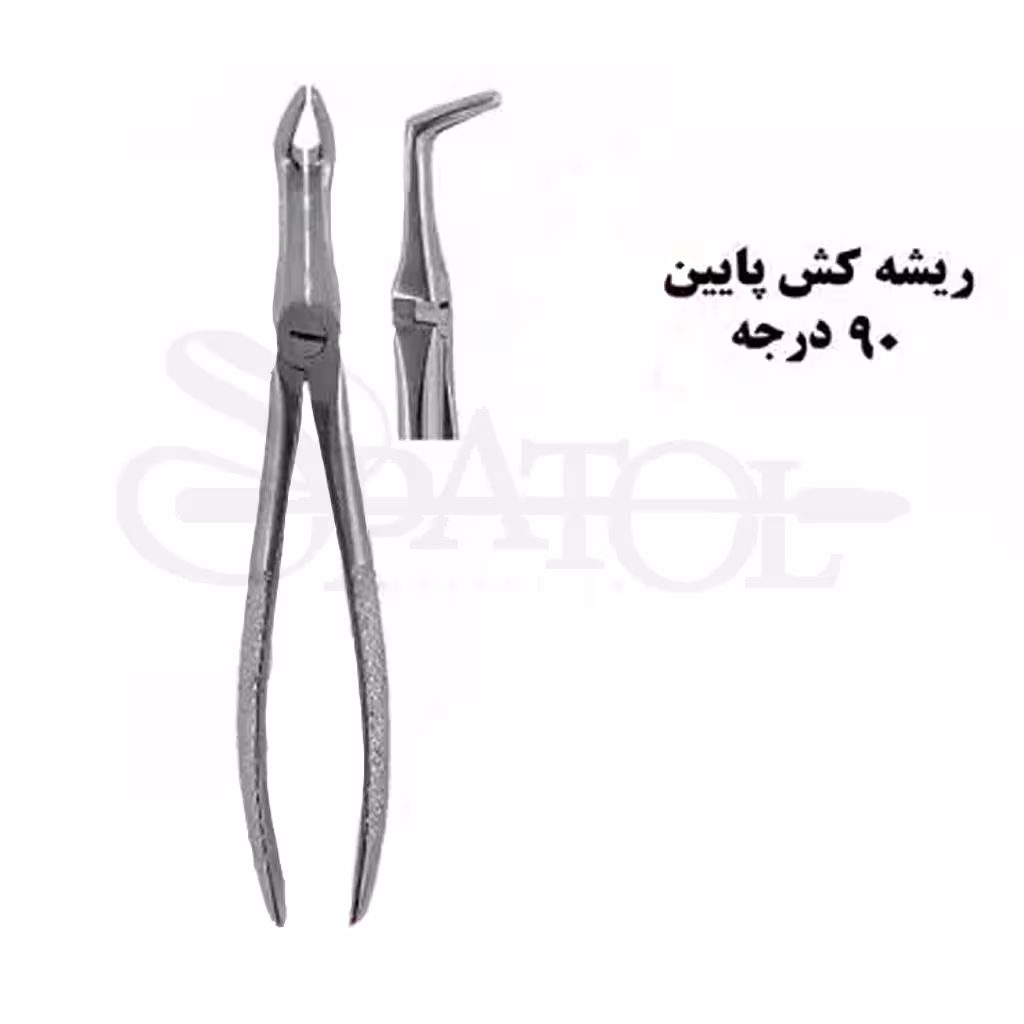 فورسپس ریشه کش پایین کاریزما CHARISMA