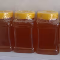 عسل کوهی  با کیفیت عالی محصولات خانگی و درجه یک شیوا