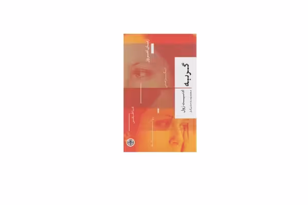 گربه – ادیت رول – معصومه علی گل – پارسه