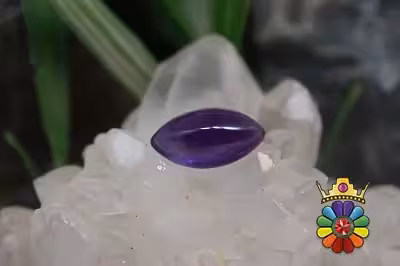 امتیست دامله(کاپوشی)