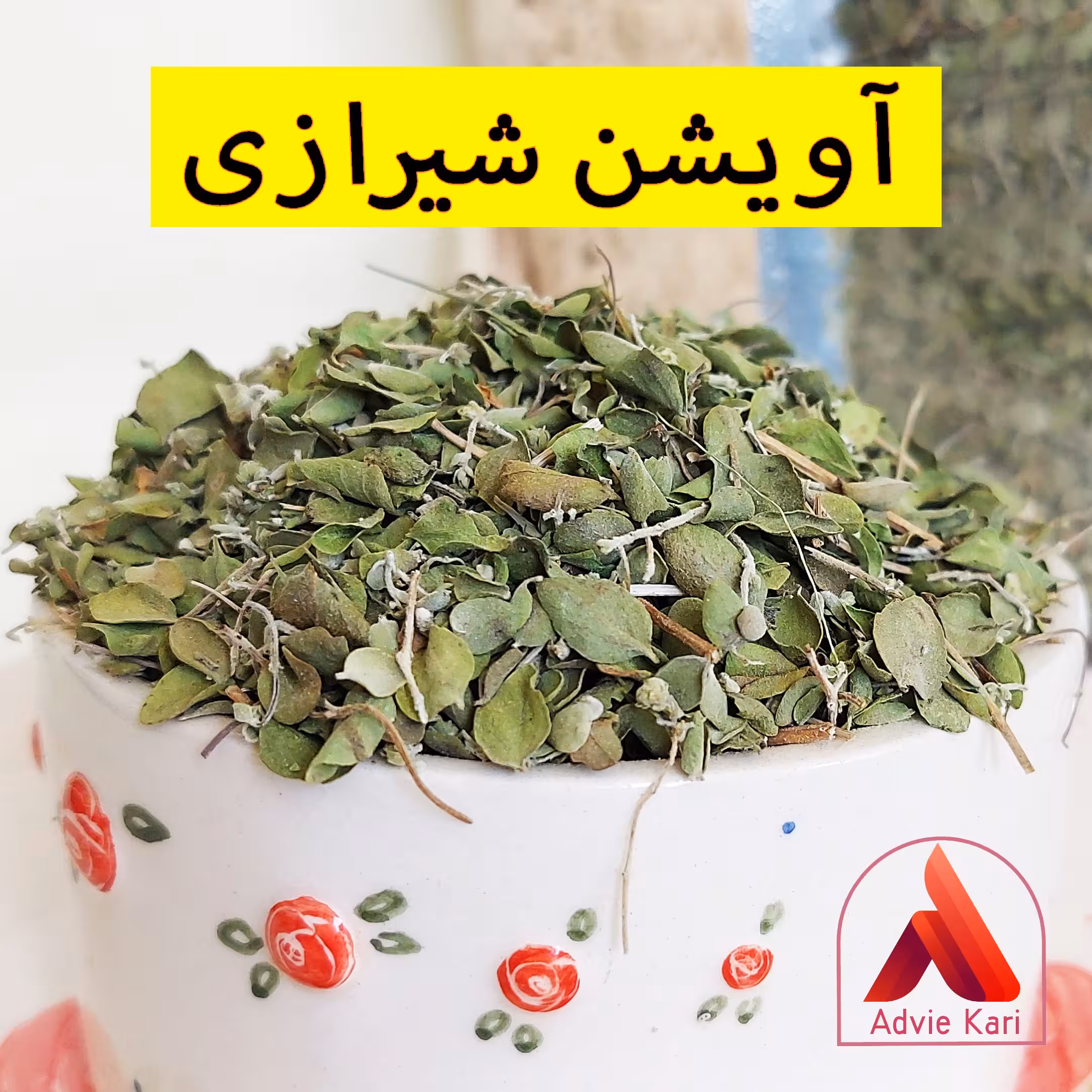 آویشن شیرازی