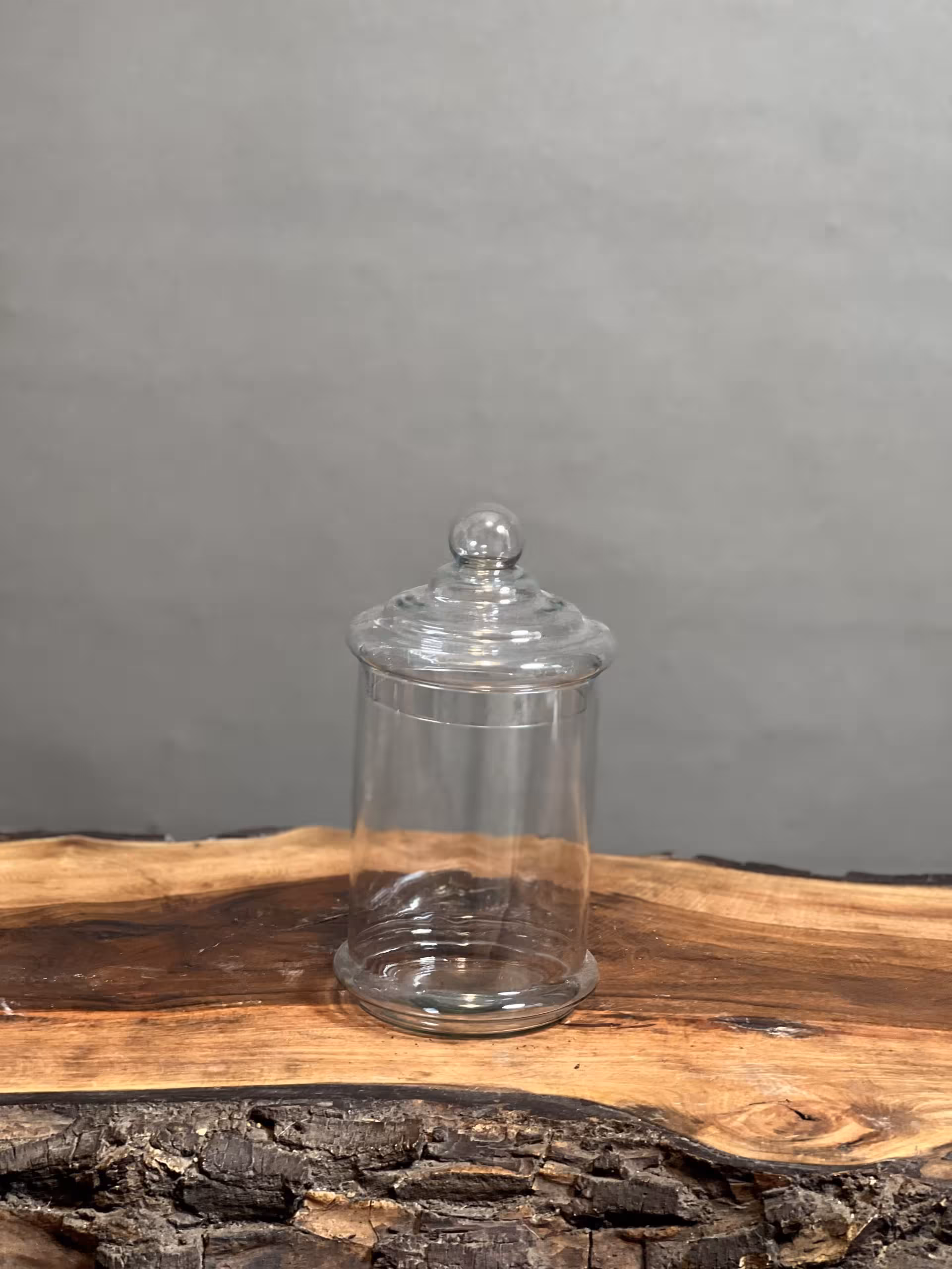 خرید شیشه تراریوم در دار کندی کوچک ارسال فوری به تهران و سراسر ایران