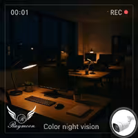 دوربین مداربسته تحت شبکه رایمون مدل پنج مگاپیکسل کد 60Q-POE بسته چهار عددی