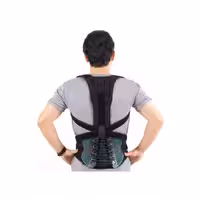 اسپاینومد اورتینو