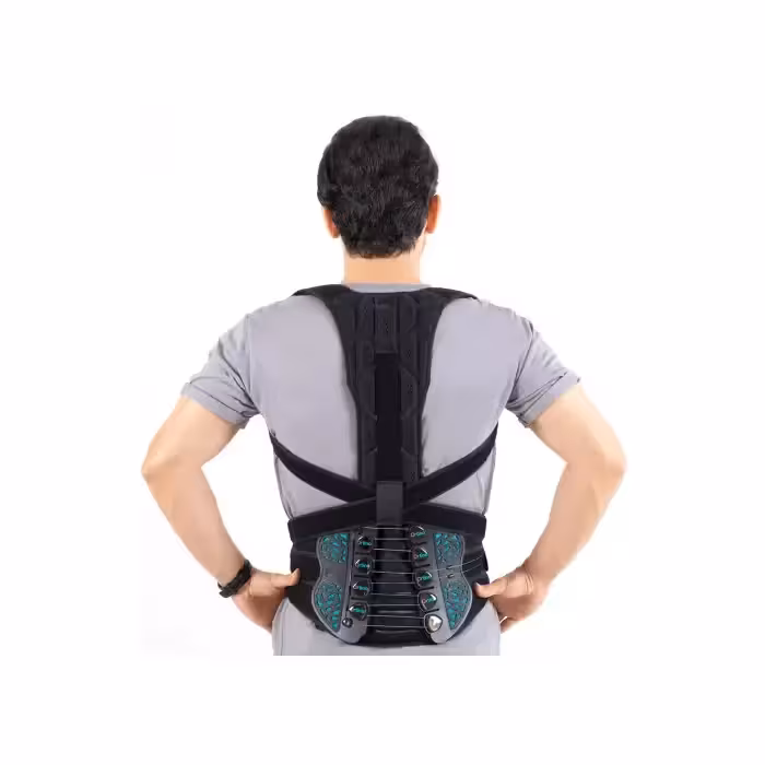 اسپاینومد اورتینو