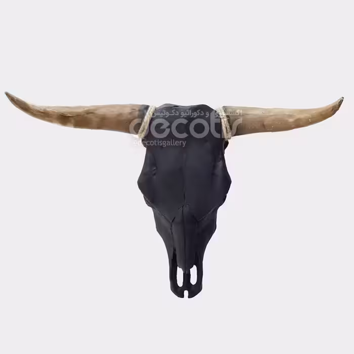 دیوارکوب جمجمه گاومیش 3XL کد 352