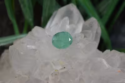زمرد زامبیا
