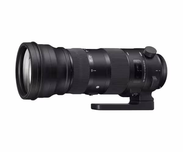 لنز سیگما Sigma 150-600mm F5-6.3 DG OS HSM | S for Nikon