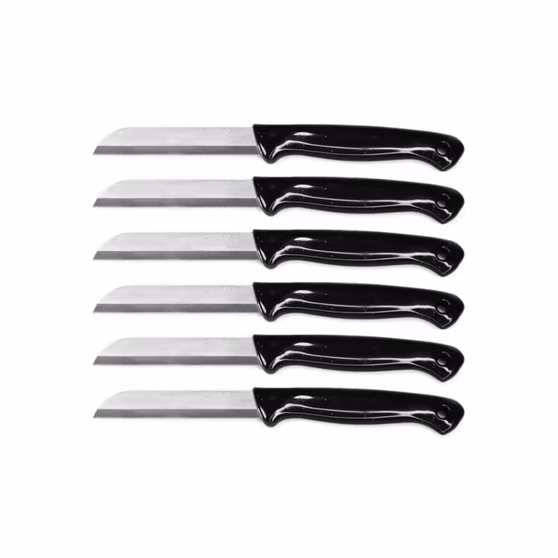 شش عدد چاقوی میوه مشکی براق سولینگن | تیغه فولادی ضدزنگ | دسته پلاستیکی مقاوم | برای برش آسان میوه | مجموعه 6 عددی | طراحی مدرن و زیبا