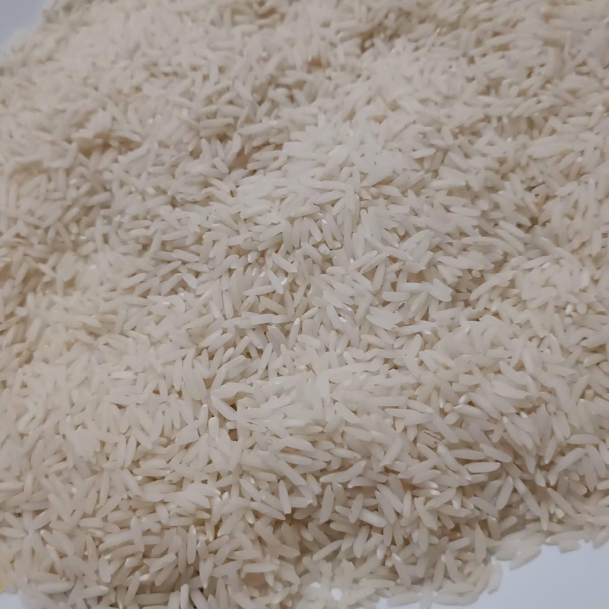 برنج هاشمی درجه یک کشت اول رشت وخشکبیجار