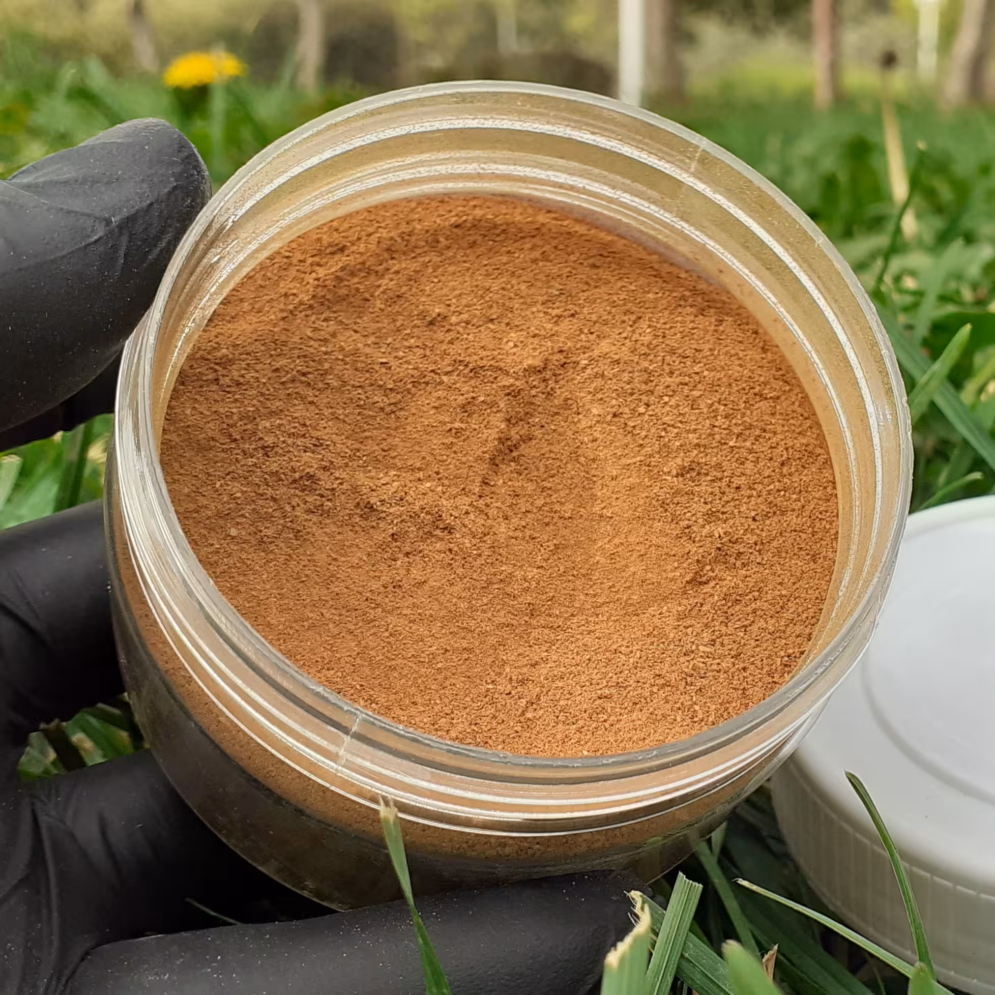 پودر دارچین هندی خالص 250 گرمی 