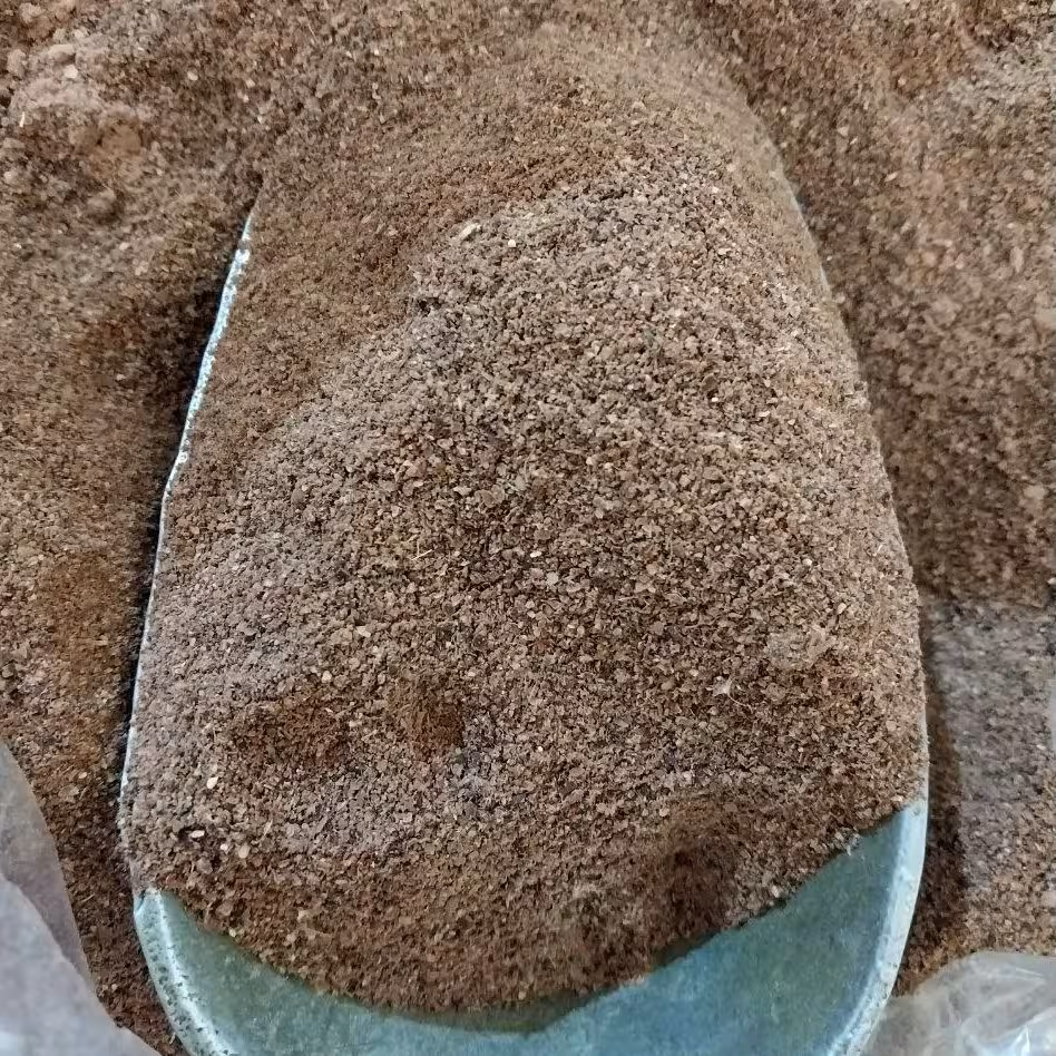 سماق قهوه ای